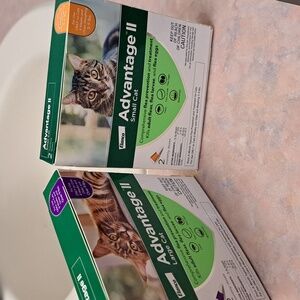Two boxes - Advantage II for Cats